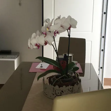 Apartment The Shabby House - Charming Seaside Retreat In Anzio, Steps From And Train Station *